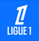 Blason, logo, Ligue 1. Ligue de Football Professionnel.
